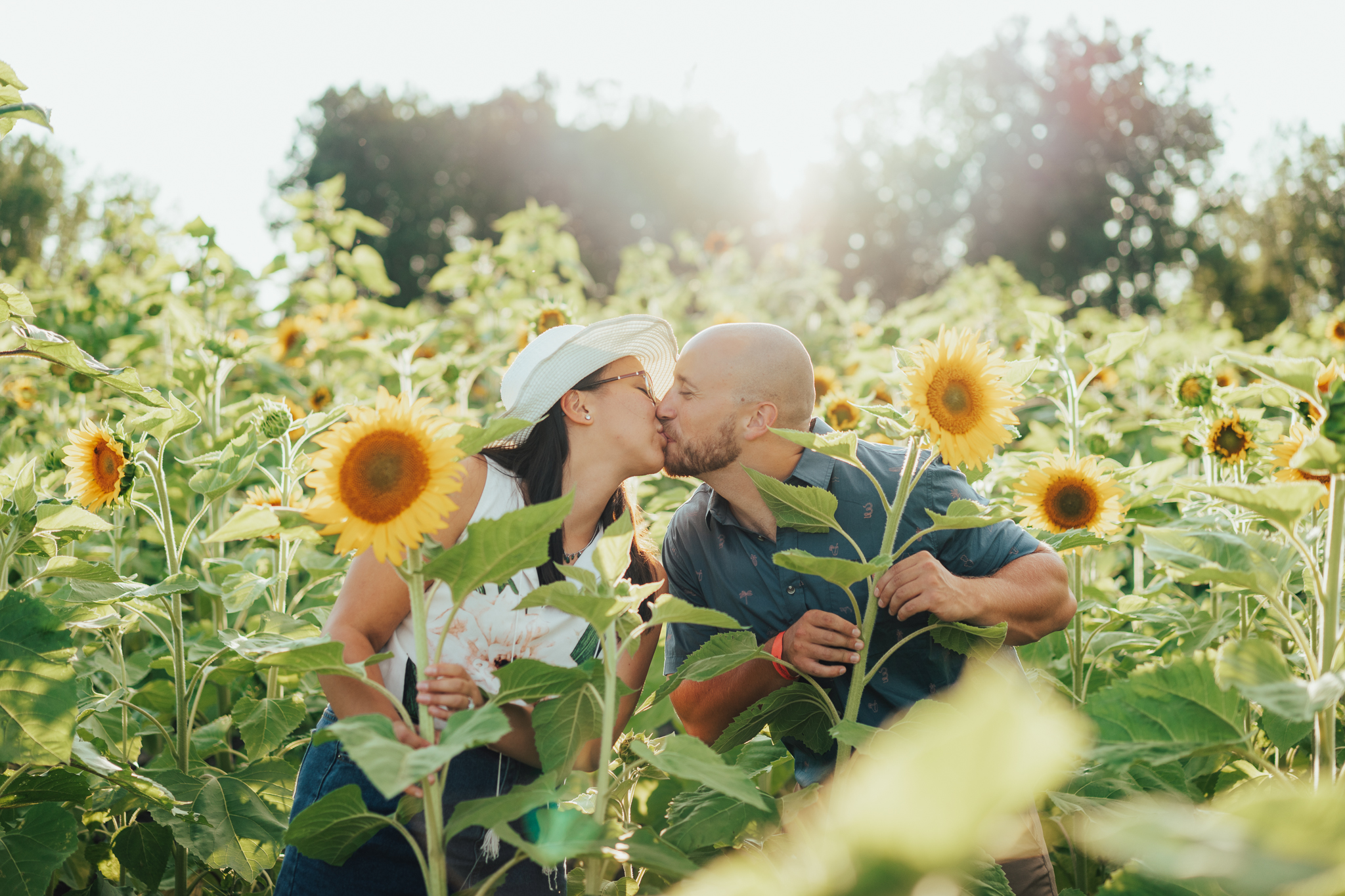Photographer capturing stunning photos in the Kustermans sunflower fields
