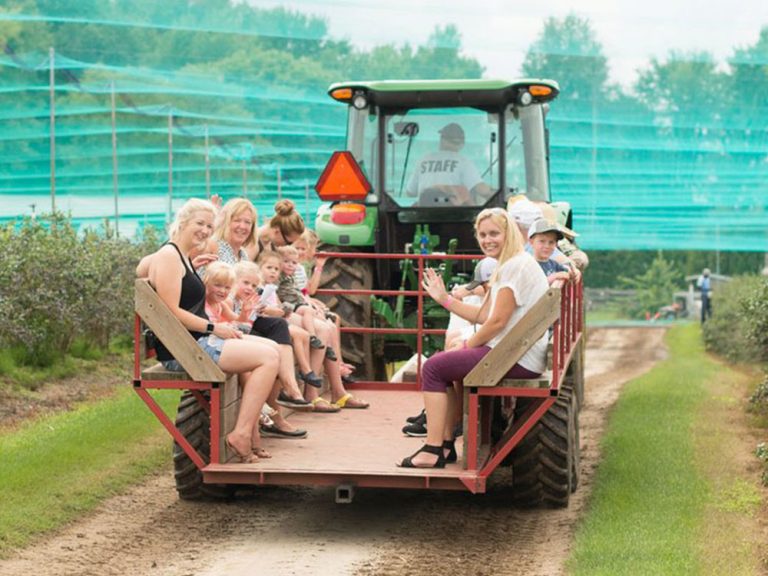 Wagon ride transporting camp children to the pick-your-own farm fields at Kustermans
