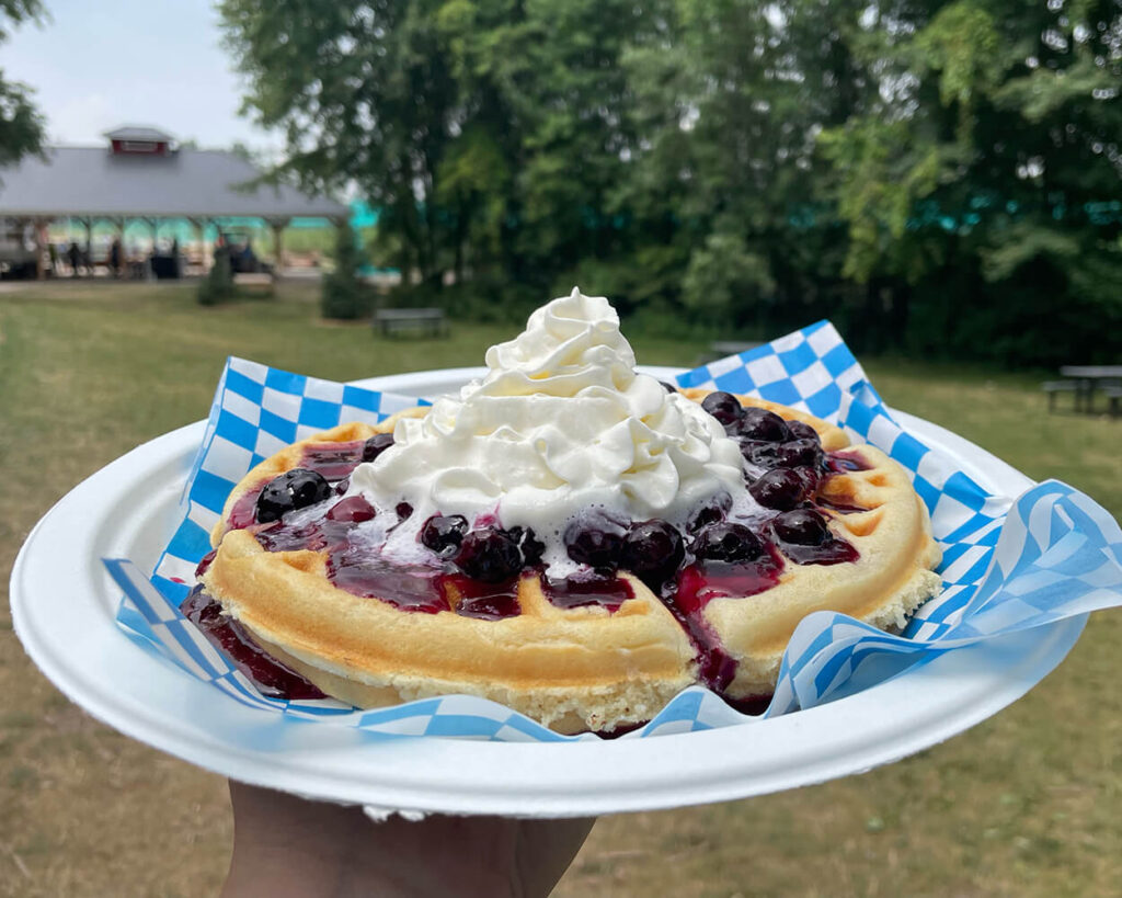 blueberry waffle