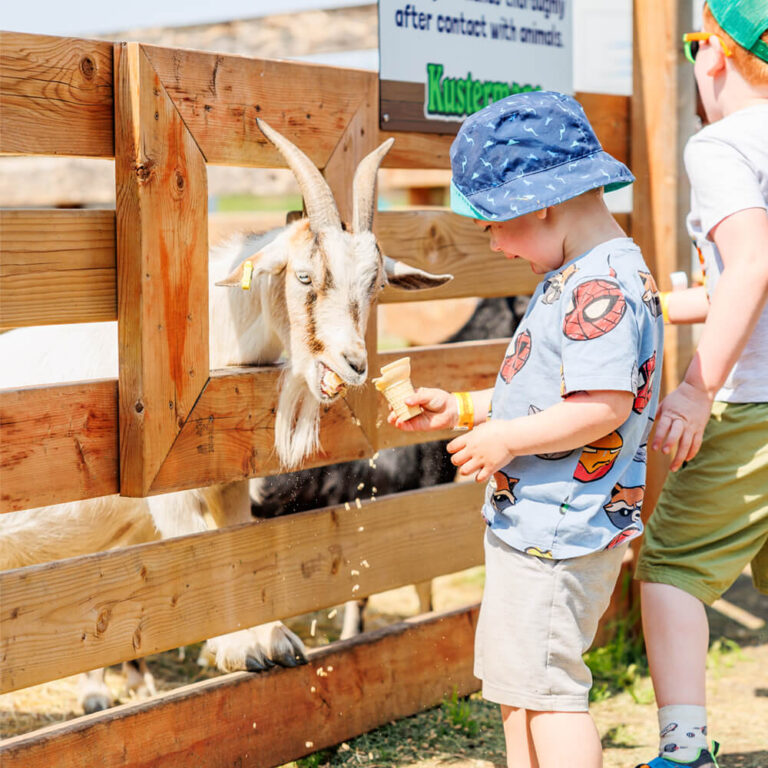 Young children feeding goats at Kustermans Farm birthday party