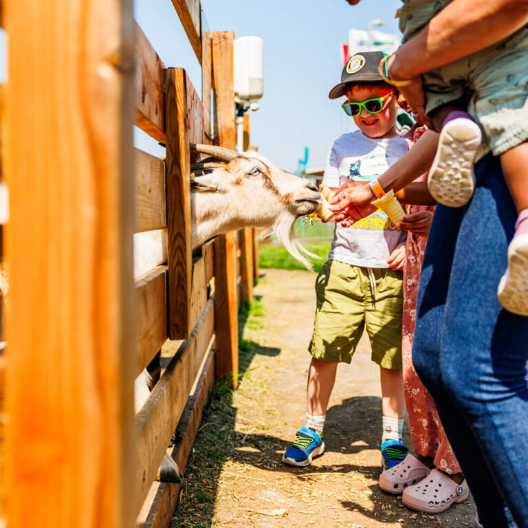 Kids feeding goats at the petting zoo during a birthday party at Kustermans Farm