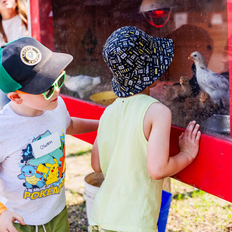 Children petting animals at the petting zoo during a birthday party at Kustermans Farm
