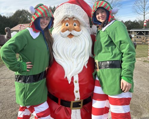 Photo sessions with Santa