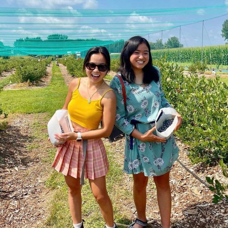 berry picking ontario