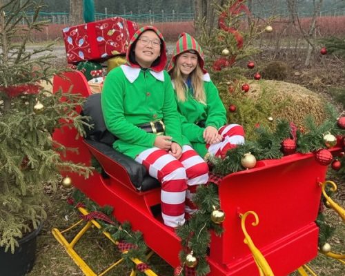 Christmas photo opportunity display at Kustermans Farm winter event
