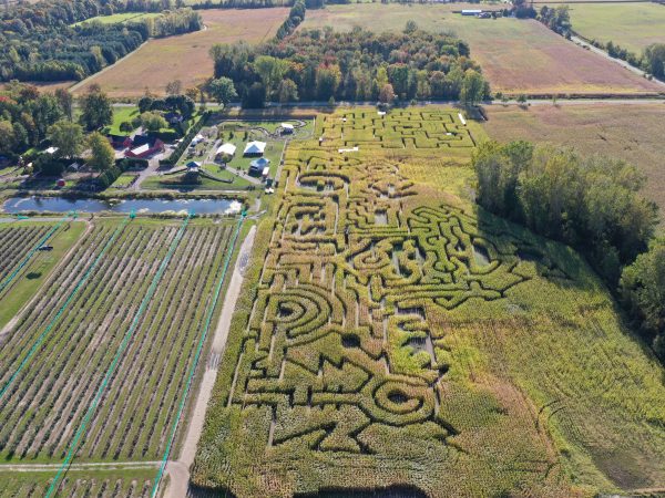 Corn maze pathway at Kustermans Adventure Farm in London Ontario during fall