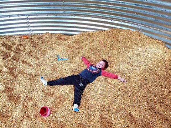 Children playing in the corn pit attraction at Kustermans Adventure Farm