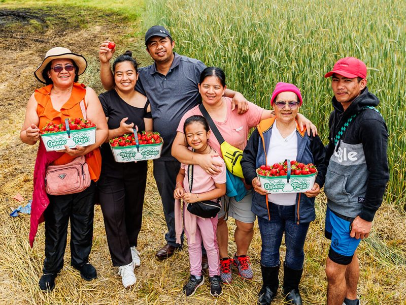 Family holding baskets after picking strawberries at Kustermans Adventure Farm in London, Ontario
