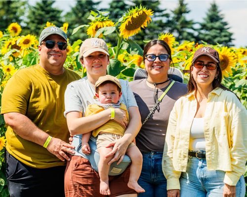 A family group with a baby smiling for a photo in front of a full sunflower field in bloom at Kustermans in London, Ontario
