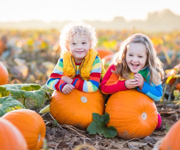 Two girls smiling in the pumpkin patch at the Kustermans Fall Festival