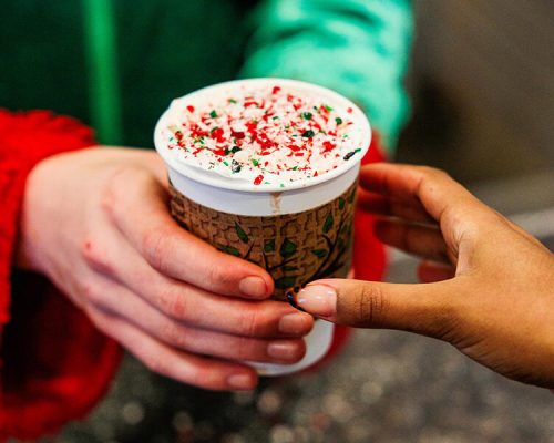Hot chocolate being served to visitors at Kustermans farm