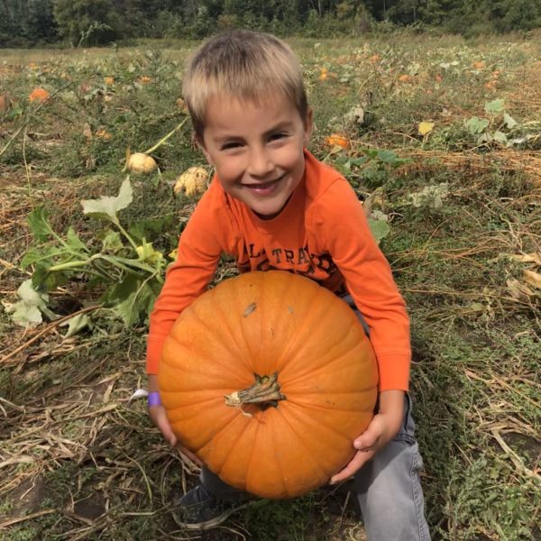 Young child holding a pumpkin they picked at Kustermans Fall Festival