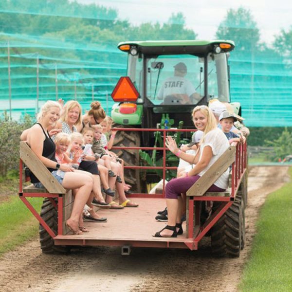 Wagon Rides to farm fields