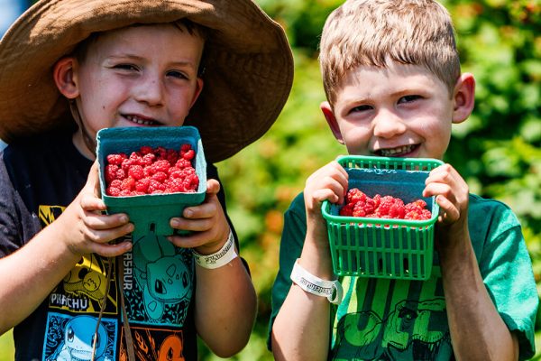 Kids holding freshly picked raspberries at Kustermans Farm near London Ontario
