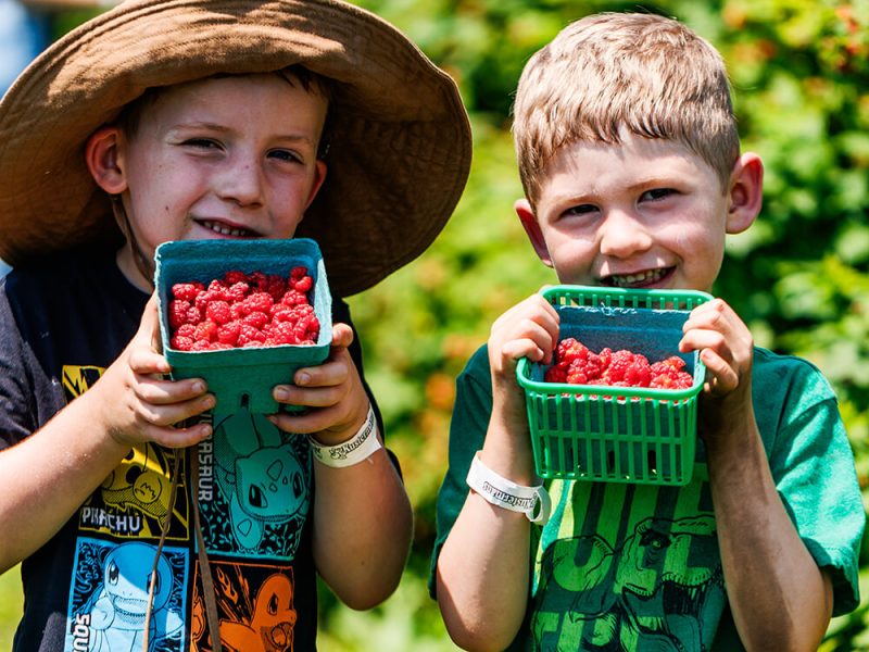 Kids holding freshly picked raspberries at Kustermans Farm near London Ontario
